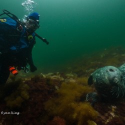 duck_island_ledges_20170715_16153