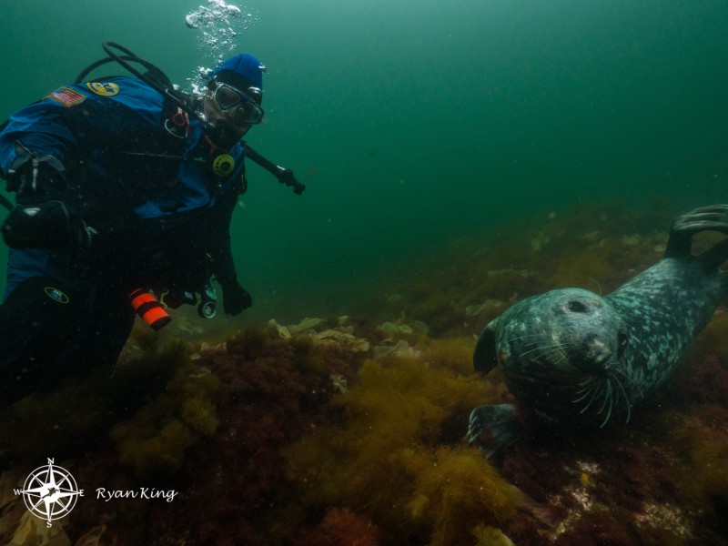duck_island_ledges_20170715_16153