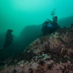 seal-picture-with-jwk-9-21-16