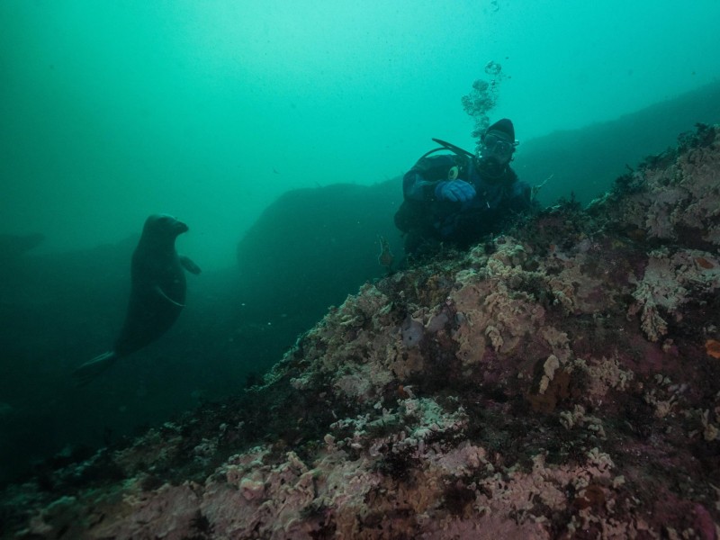 seal-picture-with-jwk-9-21-16